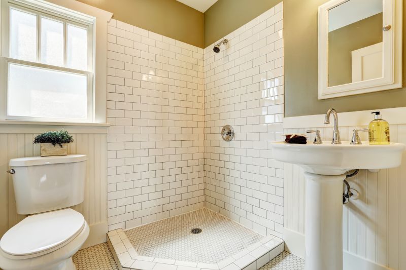 Bathroom Renovation Ideas